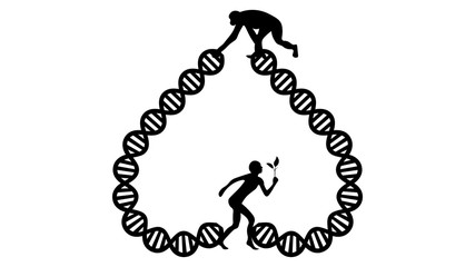 Evolution vector illustration. Human and chimpanzee genome identical