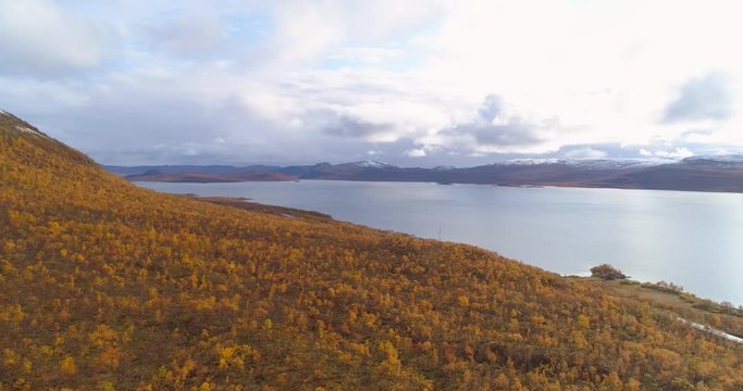 Kilpisjarvi, Aerial, tracking, drone shot, panning over foliage trees, overlooking the e8 road, the lake and first snow on Saana tunturi fell, on a sunny, autumn day, in Enontekio, Finland