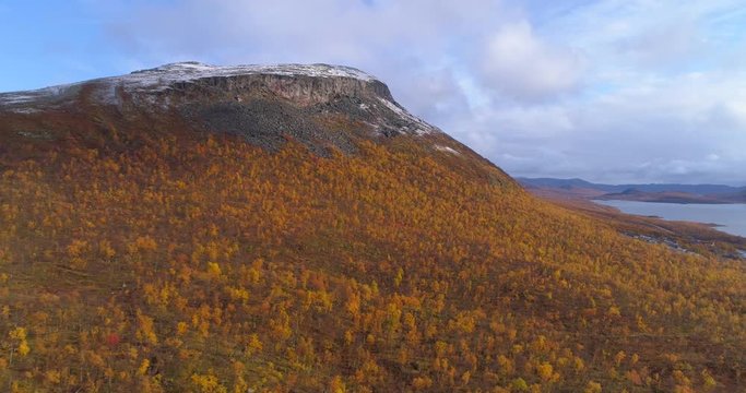 Saanatunturi, Aerial, drone shot, over orange, ruska foliage trees, towards the Saana tunturi fell, on a sunny, autumn day, in Enontekio, Finland