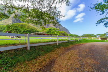 Horse Ranch in Hawaii - 294259394