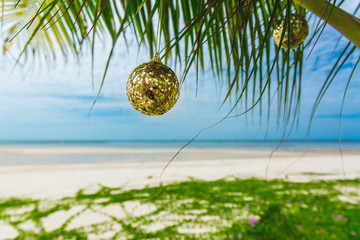 Christmas decoration on the palm on the beach on sunny day