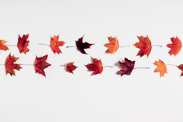 Autumn creative composition. Colorful maple leaves on white background. Fall, thanksgiving day concept. Autumn background. Flat lay, top view, copy space