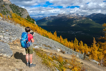 Naklejka premium Woman on a mountain top looking at scenic view of mountains and yellow larch trees from above. Fairview mountain trail in Lake Louise area. Banff National Park. Alberta. Canada.
