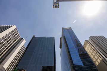 Naklejka premium Paulista