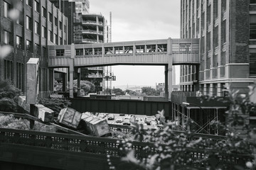 The Highline in New York City