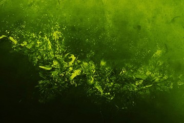 Solid abstract textured background