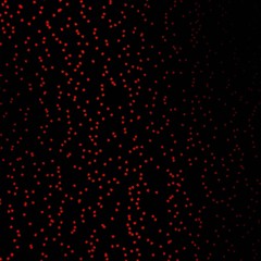 Dark Red vector pattern with abstract stars. Blur decorative design in simple style with stars. Pattern for new year ad, booklets.