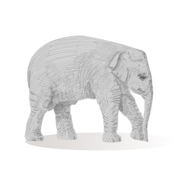 Little elephant is walking, moving forward, sketch vector graphics black and white drawing. African wildlife doodle illustration. Portrait of baby elephant, monochrome. Pencil drawing imitation.