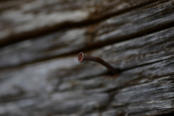 rusty nail on door or wooden board