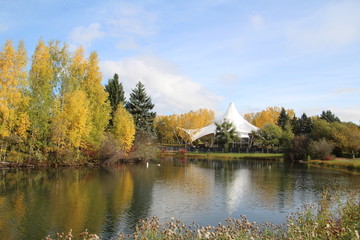 Fototapeta na wymiar October Colours On The Water, William Hawrelak Park, Edmonton, Alberta