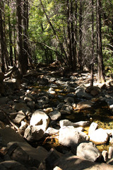 Vertical photo of a mountain stream running thru the forest and round granite stones