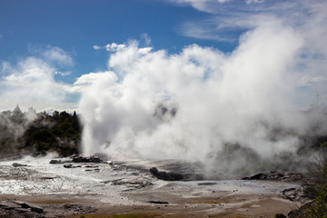 Geysir in Te Puia park in Rotorua, North Island