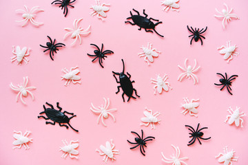 Creative Halloween Day composition. Holiday celebration spiders, flies, beetle. Pink paper...