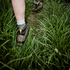 Low section of a man walking on grass field