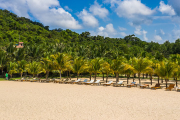 Beautiful scenery of palm trees and golden beach sand