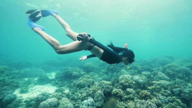 A tourist snorkeling and freediving in a marine sanctuary with corals and fishes