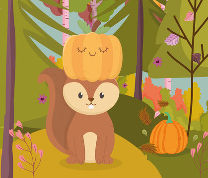 cute squirrel with pumpkin in head hello autumn