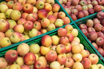 Red and green apples in a supermarket