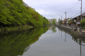 Obraz premium 高岡古城公園池の端濠