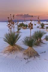 Sunset in the White Sands National Monument, New Mexico, USA