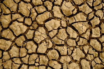 Global climate change example: cracked dry perched fluvial soil.