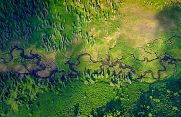 Alaskan summer - a river winding through the green dwarf forest - obrazy, fototapety, plakaty