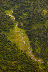 Green heart of Alaska - a river winding through the green dwarf forest in summer