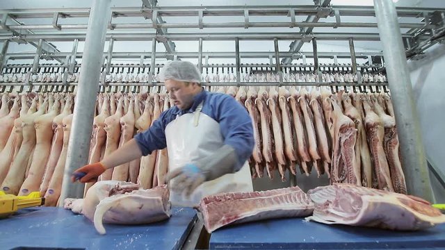 Worker using an electric saw, cuts pieces of pork meat. Deboning of pig meat. Cutting meat into pieces. Filmed with wide format optics