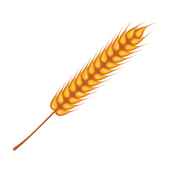 wheat spikes decoration isolated icon