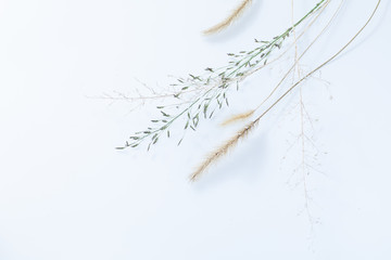 秋の森で拾った落ち葉や草