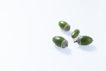 秋の森で拾ったどんぐりや落ち葉