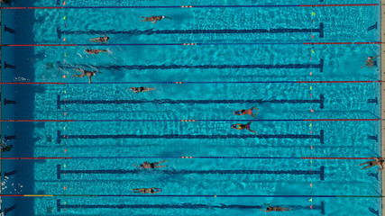 Aerial top view photo of people swimming and practising in outdoor pool - obrazy, fototapety, plakaty