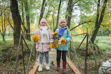 Two little girls of five years old play in the autumn park