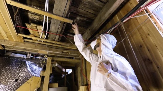 Indoor damp & air quality (IAQ) testing. A low angle and slow mo clip of a professional residential living quality inspector, standing beneath wooden floorboards and beams with signs of decay & fungi.