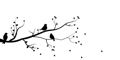 vector silhouette of the birds on branch