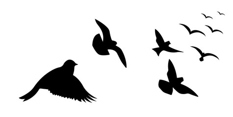 Flying bird silhouette vector illustration