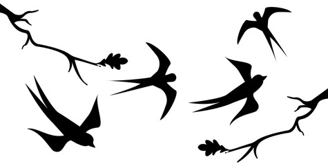 Flying bird branch swallow illustration