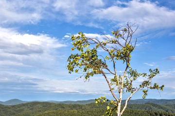 landscape with mountains and clouds