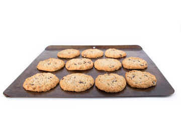 freshly baked oatmeal raisin cookies on a baking cookie sheet isolated on white