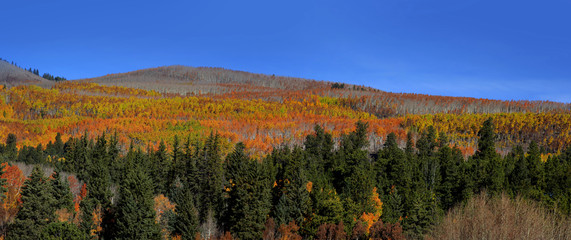 Autumn landscape in Colorado rocky mountains along scenic byway 12