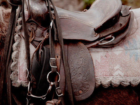 Leather Saddle