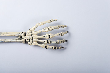Halloween and decoration concept, Arm skeleton on gray background.