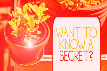 Writing note showing Want To Know A Secret Question. Business concept for to divulge a confidential...