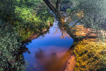 a small river with a gazebo on a tree