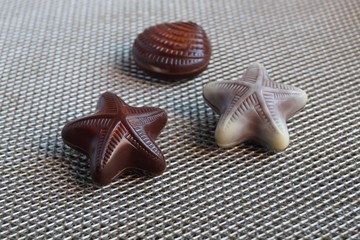 two chocolate starfish and shell