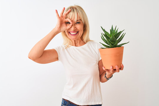 Middle age woman holding cactus pot standing over isolated white background with happy face smiling doing ok sign with hand on eye looking through fingers