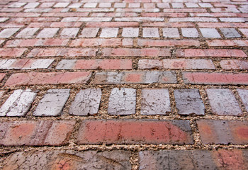 Brick Pavement Perspective Pattern