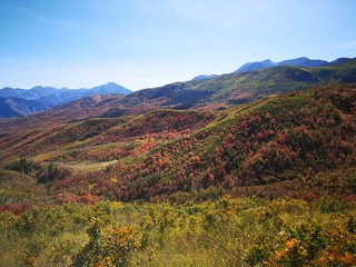 Autumn colors at Wasatch Mountain State Park