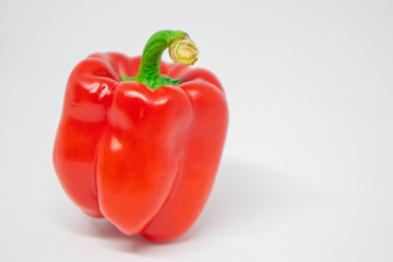 One bright red hot pepper placed