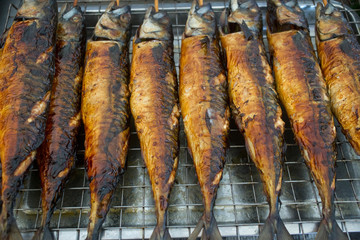 Grilled saba Fish, street food in thailand.